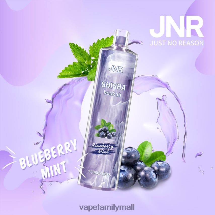 JNR Shisha Hookah 12000 Blueberry Mint