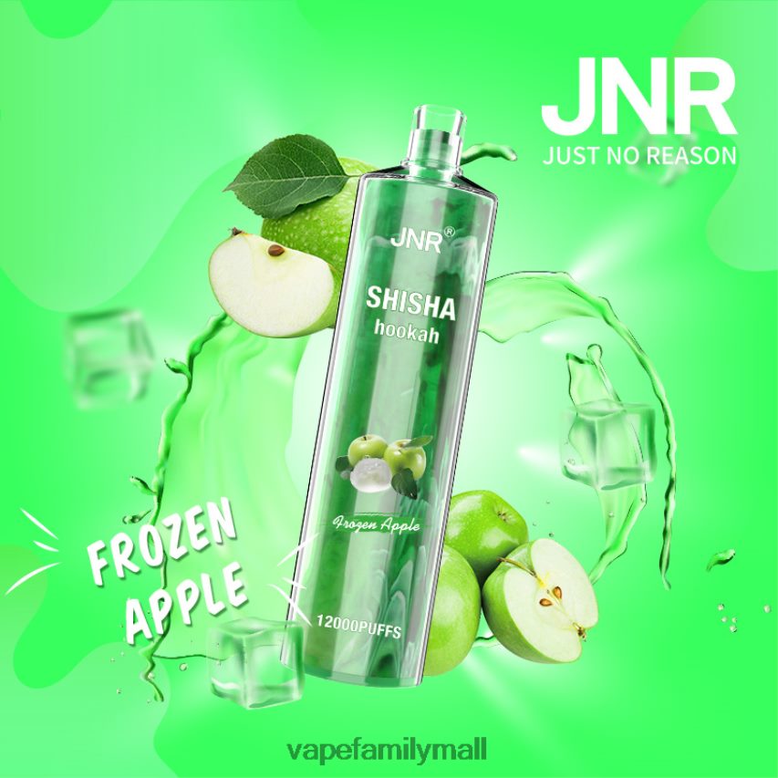 JNR Shisha Hookah 12000 Frozen Apple